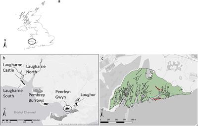 Intraspecific Root Trait Variability Along Environmental Gradients Affects Salt Marsh Resistance to Lateral Erosion